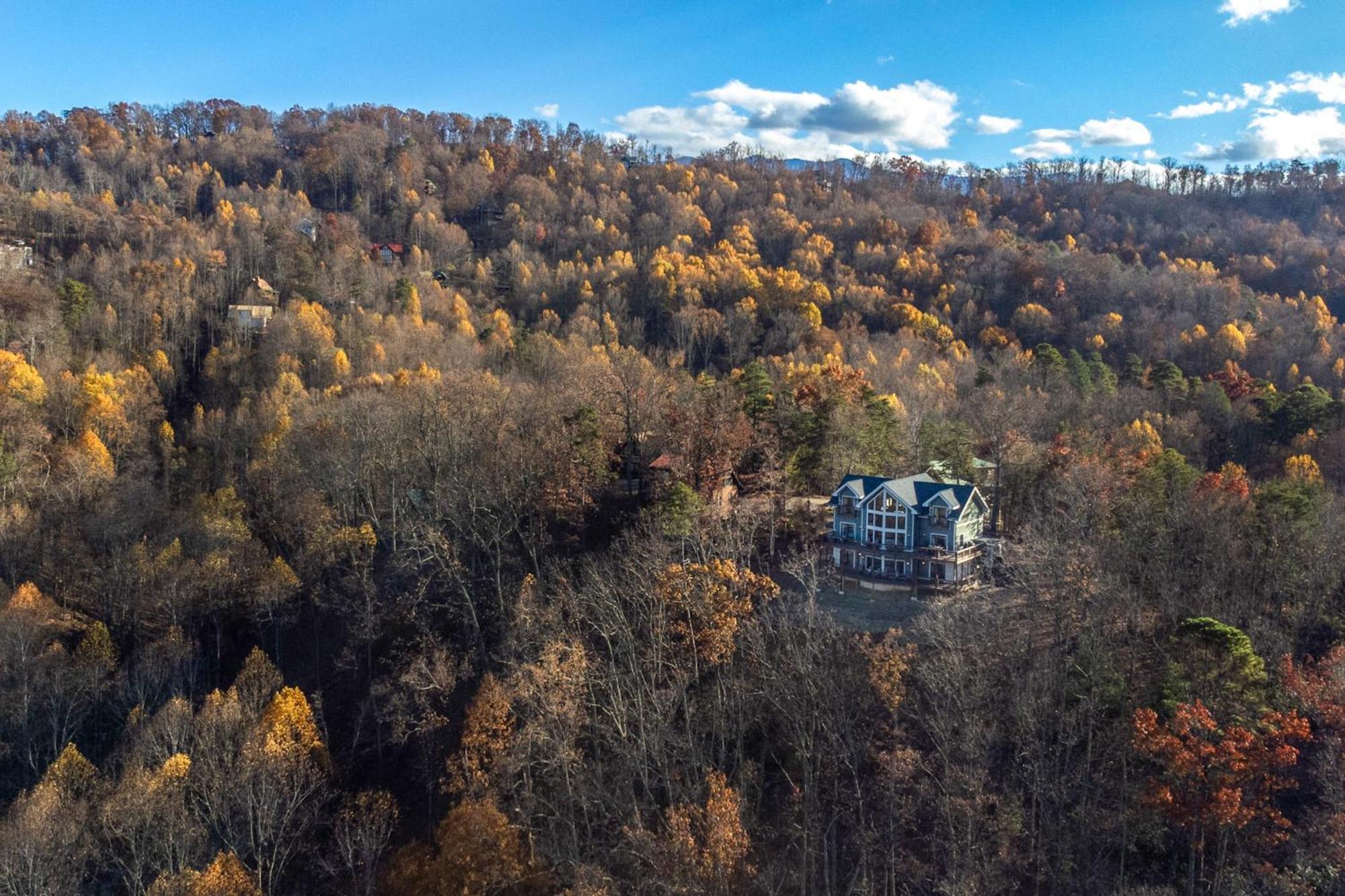 Вілла The Treetop Sanctuary Сев'єрвілл Екстер'єр фото